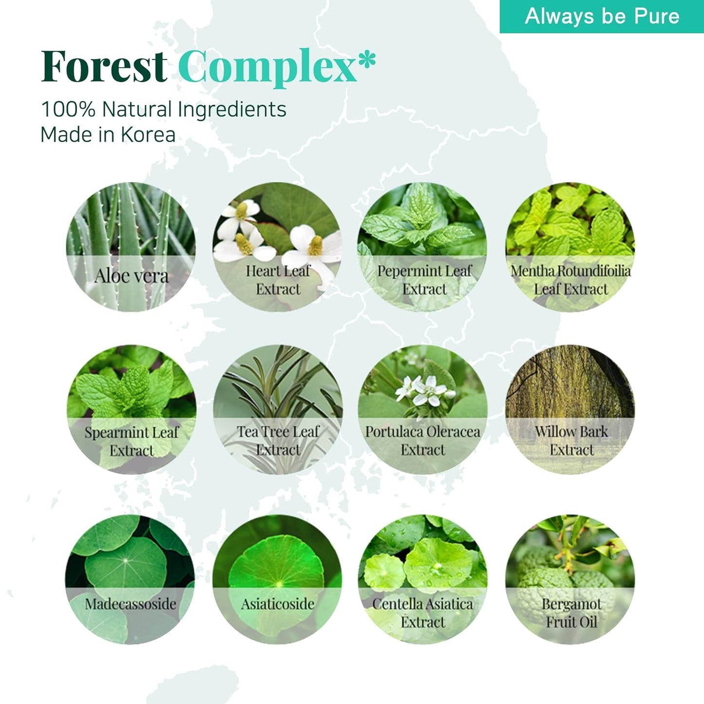 [Always Be Pure] Forest Therapy Ultra Calming Cream, K-beauty, Skin care